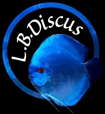 LB Discus - Le Discus né et élevé en France
